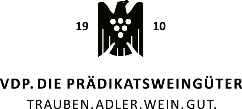 Logo VDP