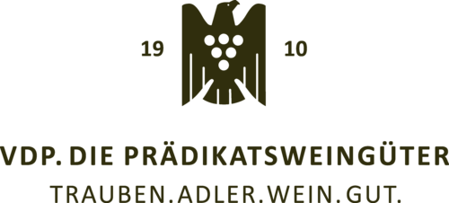 Logo VDP